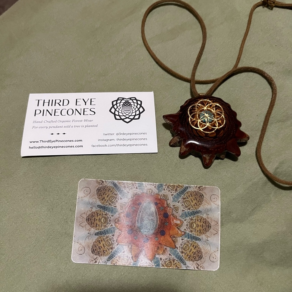Third Eye Pinecones Pendant with Brown Cord